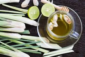 [4861911] THE DE CITRONELLE (TISANE) NATURE